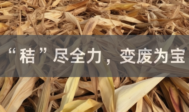 秸秆治理之道： “秸”尽全力，变废为宝