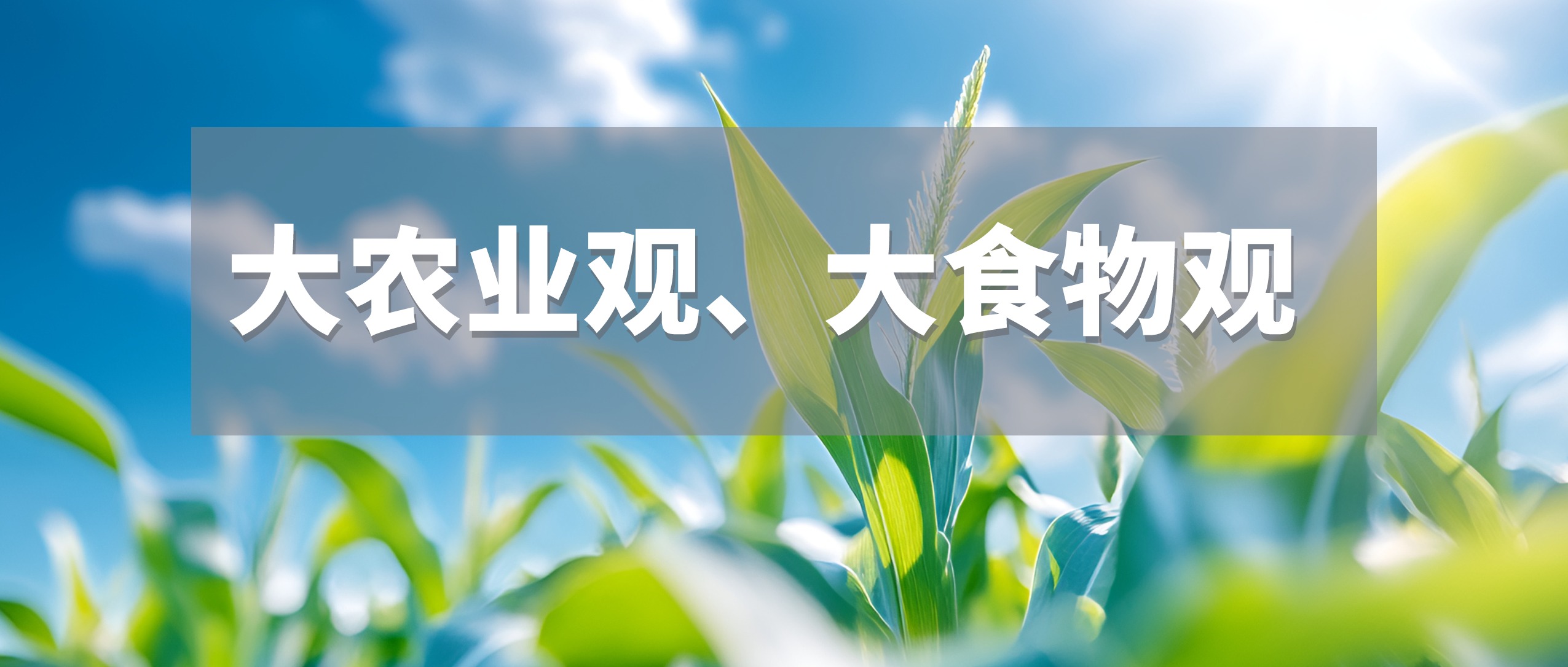 参会邀请 | “大农业观、大食物观"现代农企恳谈会暨国际乡村发展创新博览会推介会