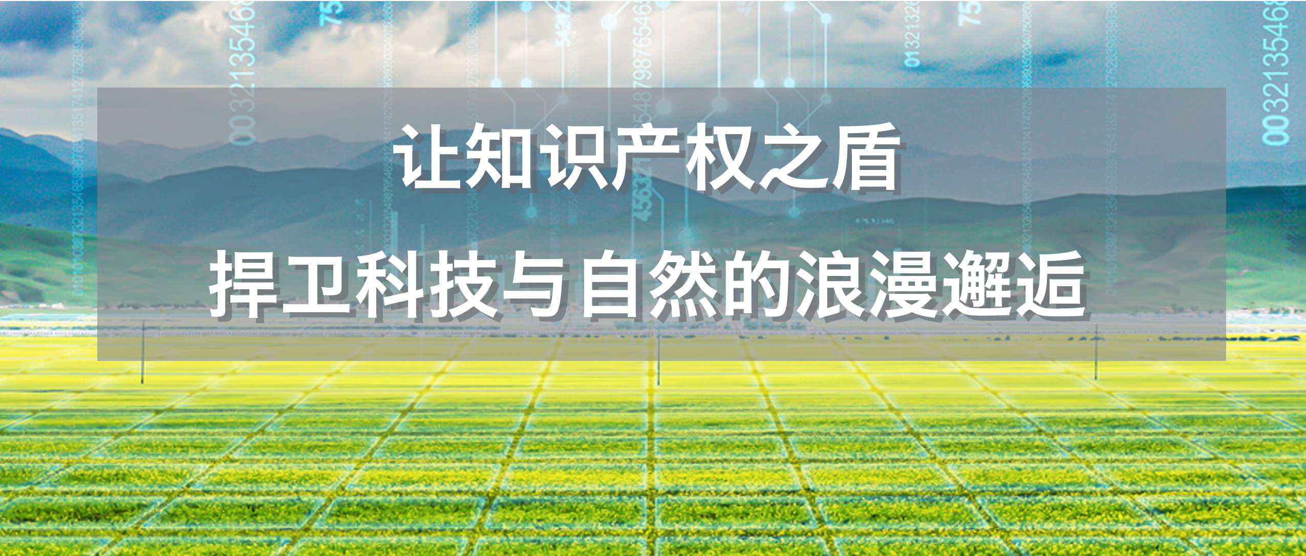 让知识产权之盾，捍卫科技与自然的浪漫邂逅