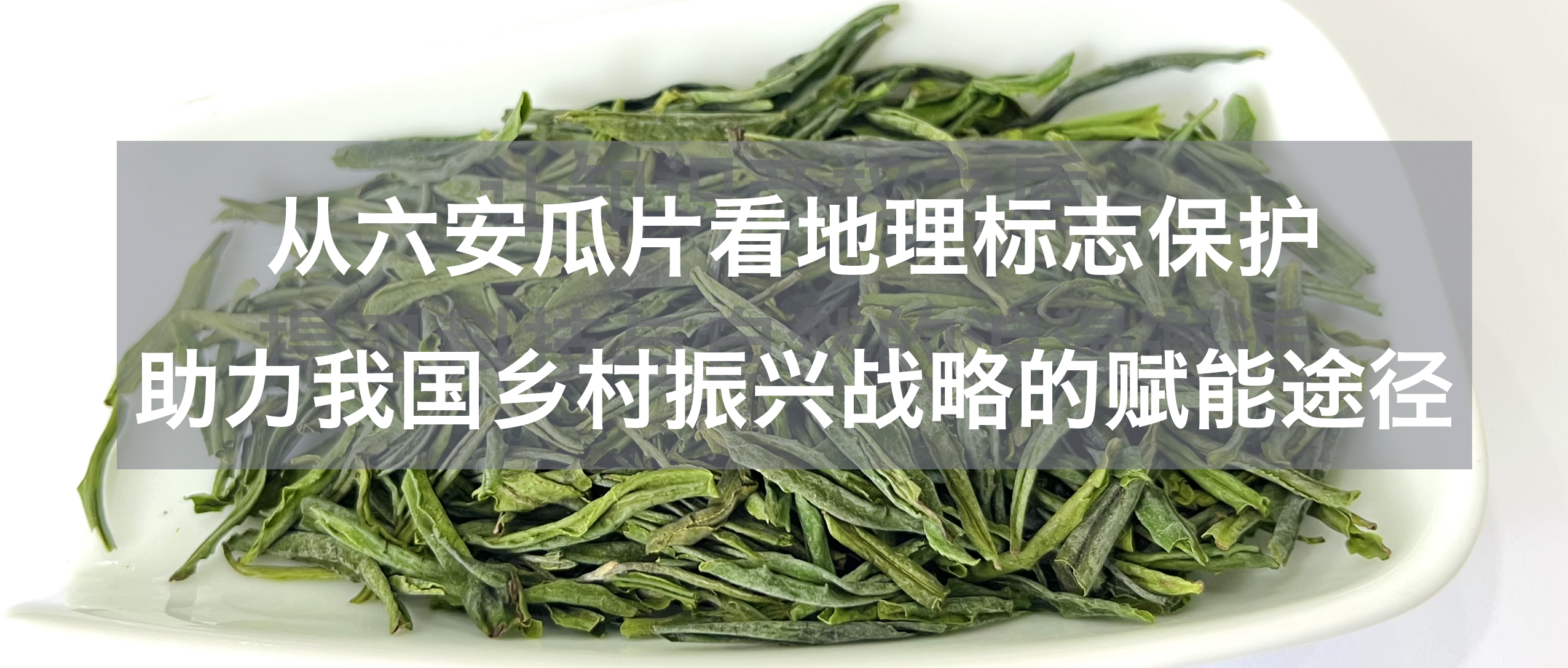 从六安瓜片看地理标志保护助力我国乡村振兴战略的赋能途径