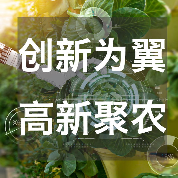 创新为翼，高新聚农，点燃农业科技新引擎