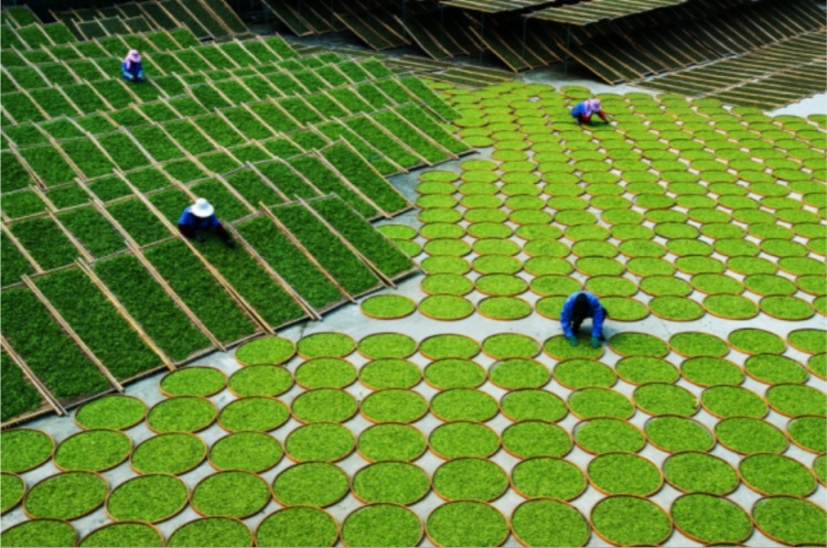 联合国粮农组织举行重要农业文化遗产授牌仪式
