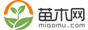 苗木网