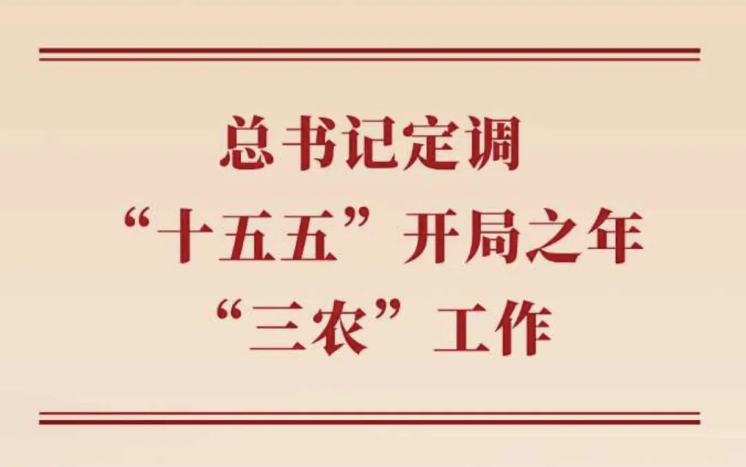 总书记定调&ldquo;十五五&rdquo;开局之年&ldquo;三农&rdquo;工作
