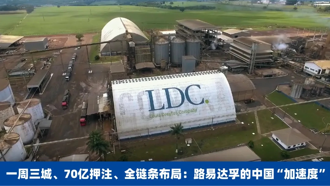 路易达孚为什么把未来押在了中国？