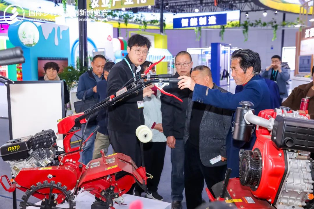 1c249fd10cb84abb1c89a18262d80e30.jpg